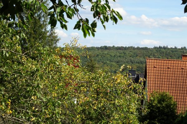 Immobilienmakler Erfurt Verkauf Baugrundstück in bester Lage